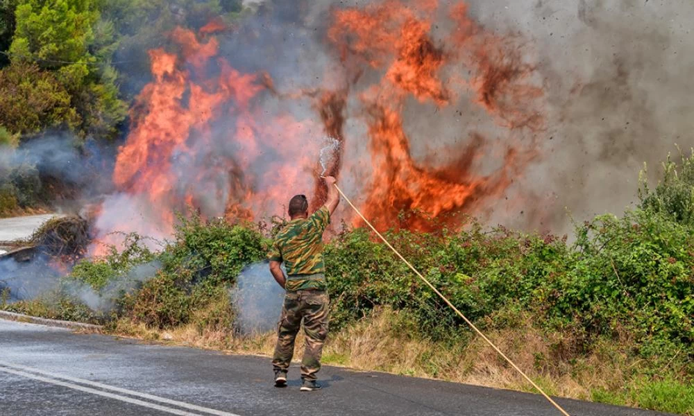 Πελοπόννησος: 120.000 στρέμματα στην Ηλεία έγιναν στάχτη